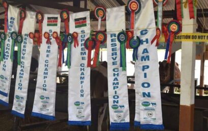 WhatsApp-Image-2024-12-05-at-15.13.36_7c6841a0-409x257