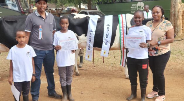 WhatsApp-Image-2024-12-05-at-15.13.58_11143cdb-629x346 (1)