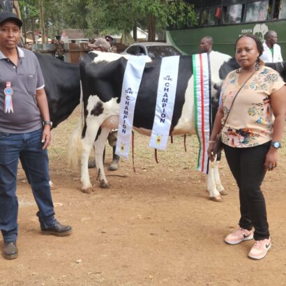 WhatsApp-Image-2024-12-05-at-15.14.02_41bf03af-410x410 (1)