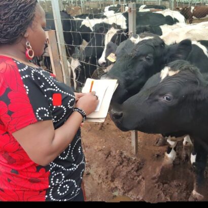 WhatsApp-Image-2024-12-13-at-17.47.11_8daabc39-410x410