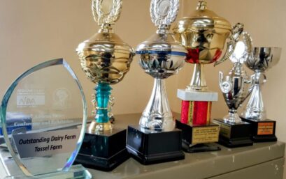 WhatsApp-Image-2024-12-13-at-17.51.19_0004cf5c-409x257