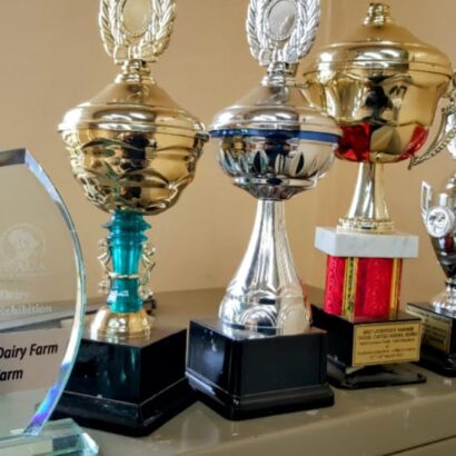 WhatsApp-Image-2024-12-13-at-17.51.19_0004cf5c-410x410