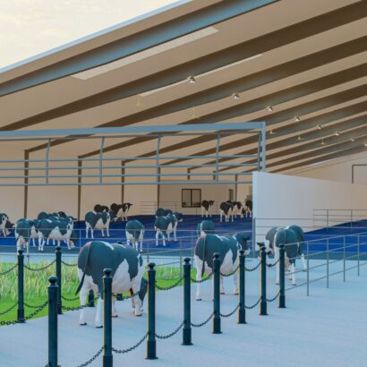 WhatsApp Image 2025-08-26 at 9.07.10 AM (34)