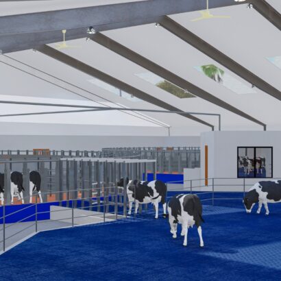 WhatsApp Image 2025-08-26 at 9.07.10 AM (36)