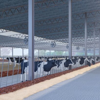 WhatsApp Image 2025-08-26 at 9.07.10 AM (57)