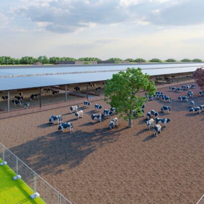 WhatsApp Image 2025-08-26 at 9.07.10 AM (59)