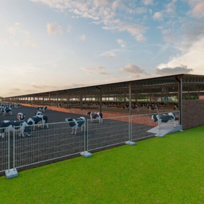 WhatsApp Image 2025-08-26 at 9.07.10 AM (60)