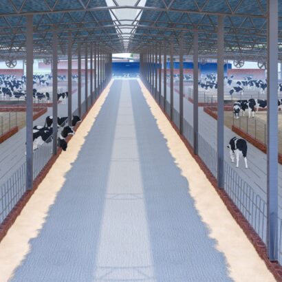 WhatsApp Image 2025-08-26 at 9.07.10 AM (7)