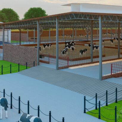 WhatsApp Image 2025-08-26 at 9.07.10 AM (8)