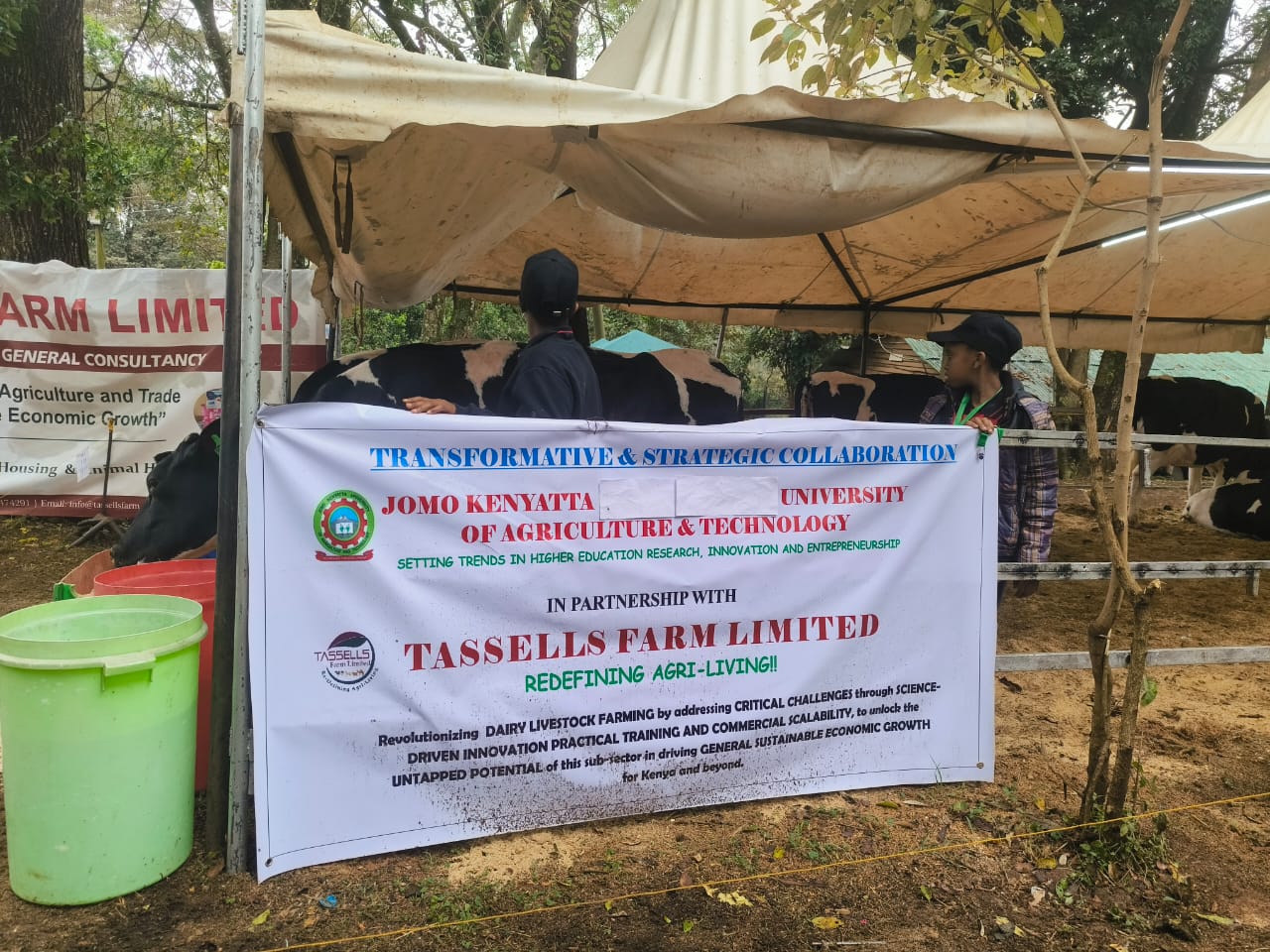 WhatsApp Image 2025-10-08 at 2.54.20 PM