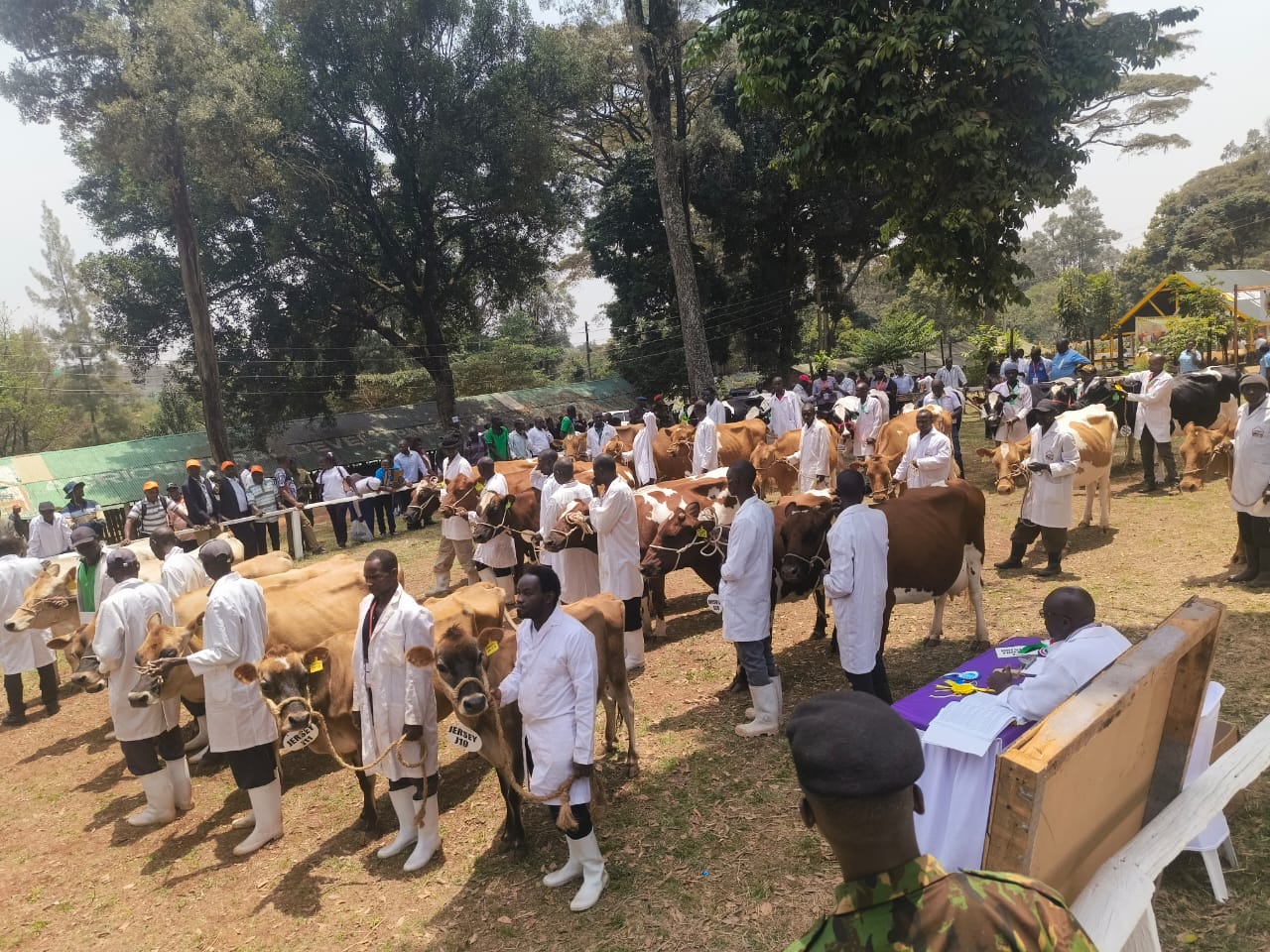 WhatsApp Image 2025-10-08 at 2.54.22 PM