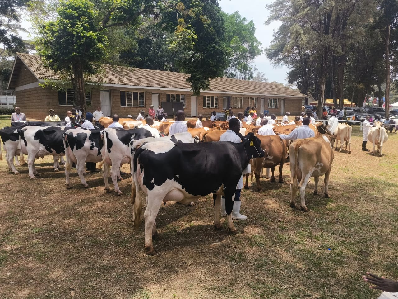 WhatsApp Image 2025-10-08 at 2.54.23 PM