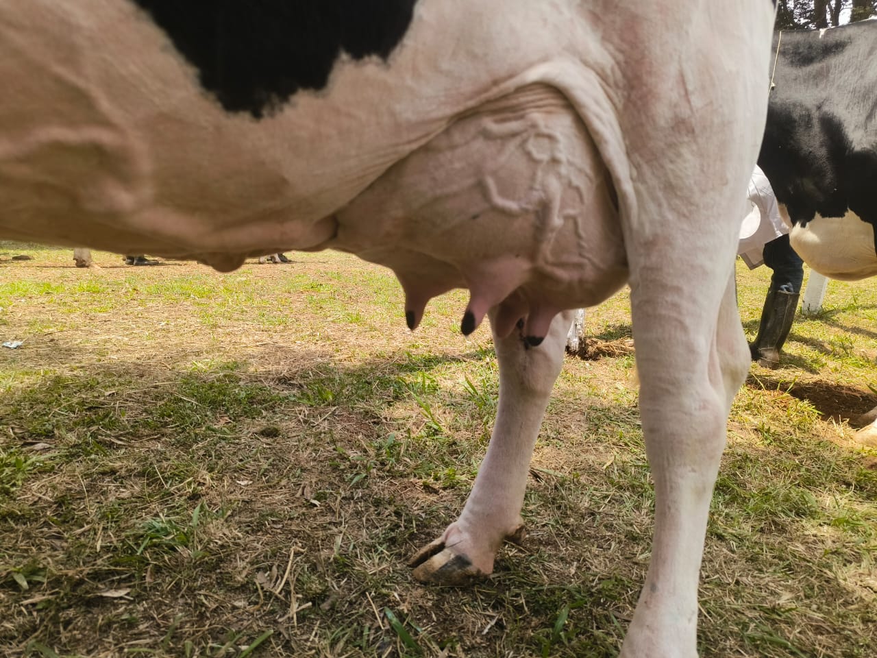 WhatsApp Image 2025-10-08 at 2.54.24 PM