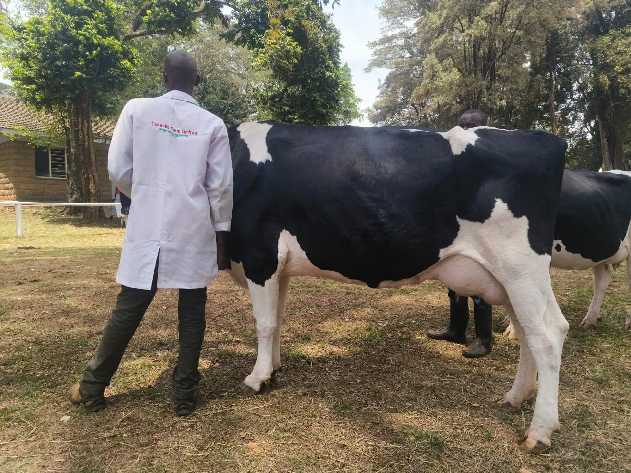 WhatsApp Image 2025-10-08 at 2.54.25 PM