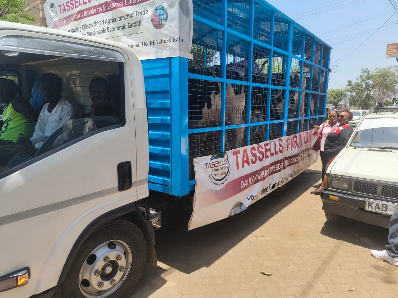 WhatsApp Image 2025-10-08 at 2.54.26 PM