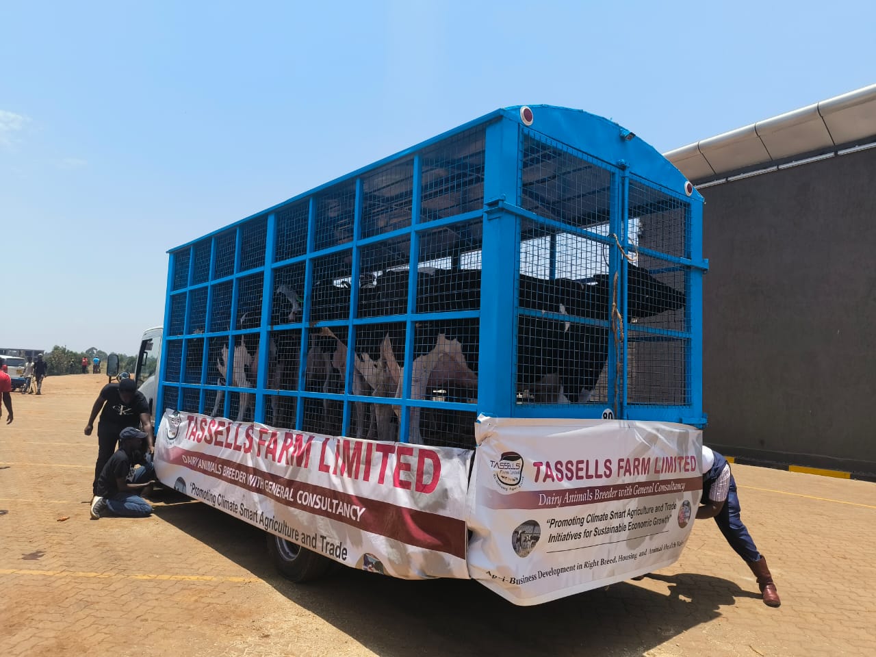 WhatsApp Image 2025-10-08 at 2.54.27 PM