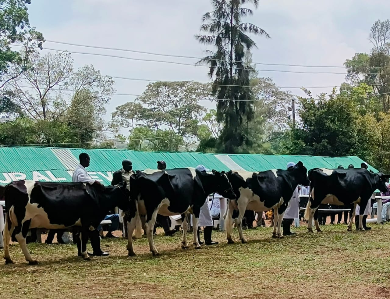 WhatsApp Image 2025-10-08 at 2.54.35 PM