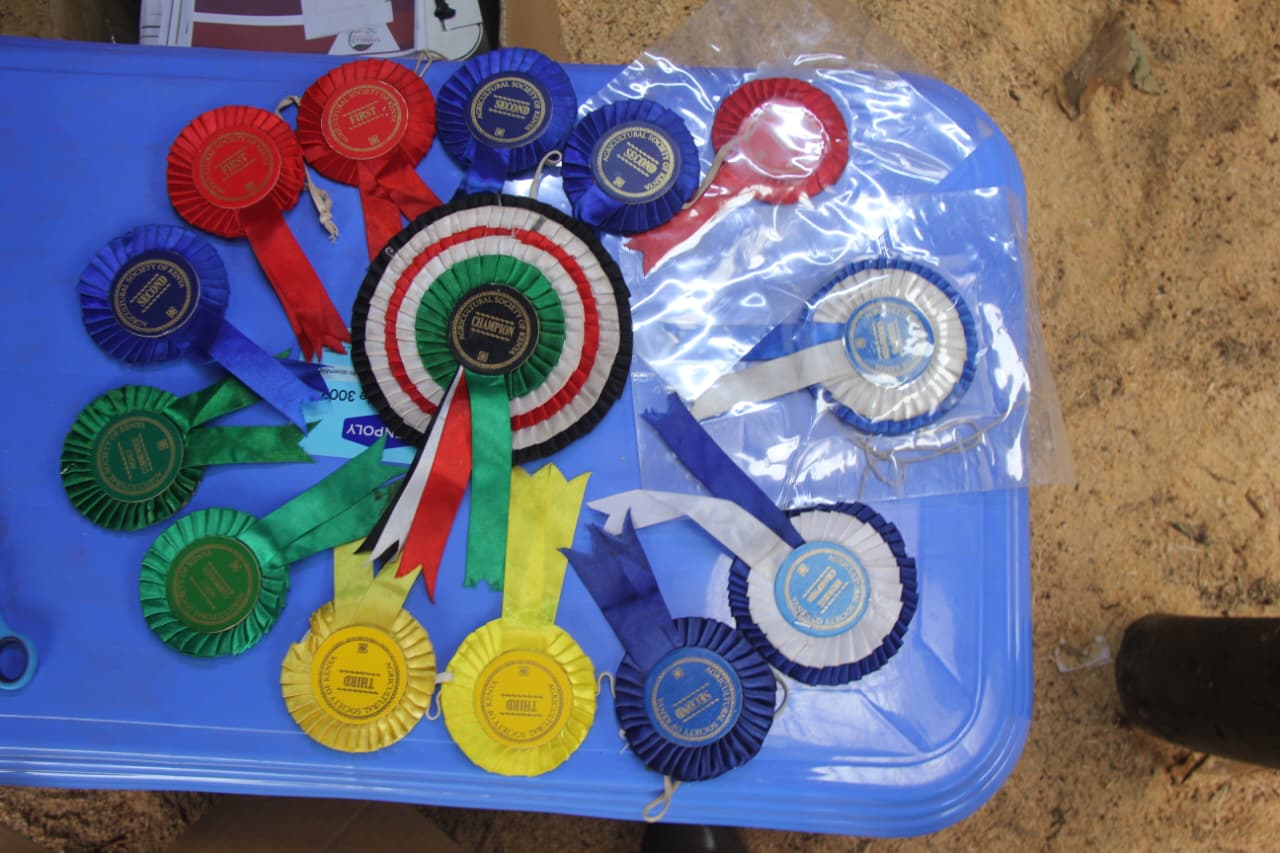 WhatsApp Image 2025-10-08 at 3.57.05 PM