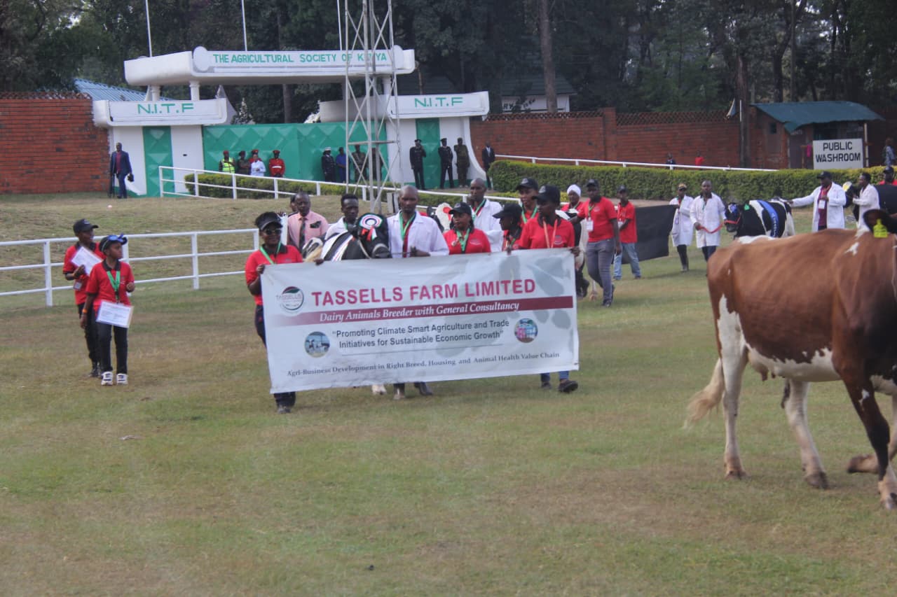 WhatsApp Image 2025-10-08 at 3.57.06 PM (2)