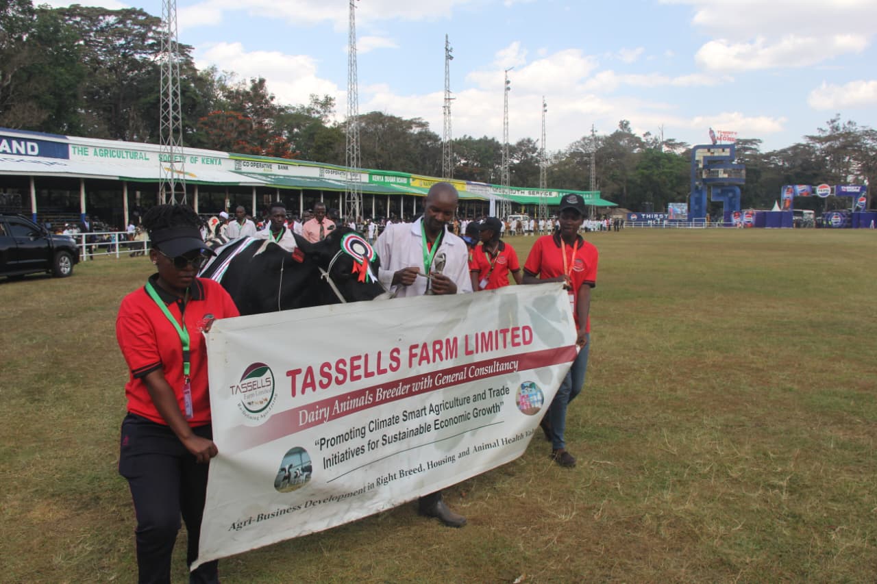 WhatsApp Image 2025-10-08 at 3.57.06 PM (3)