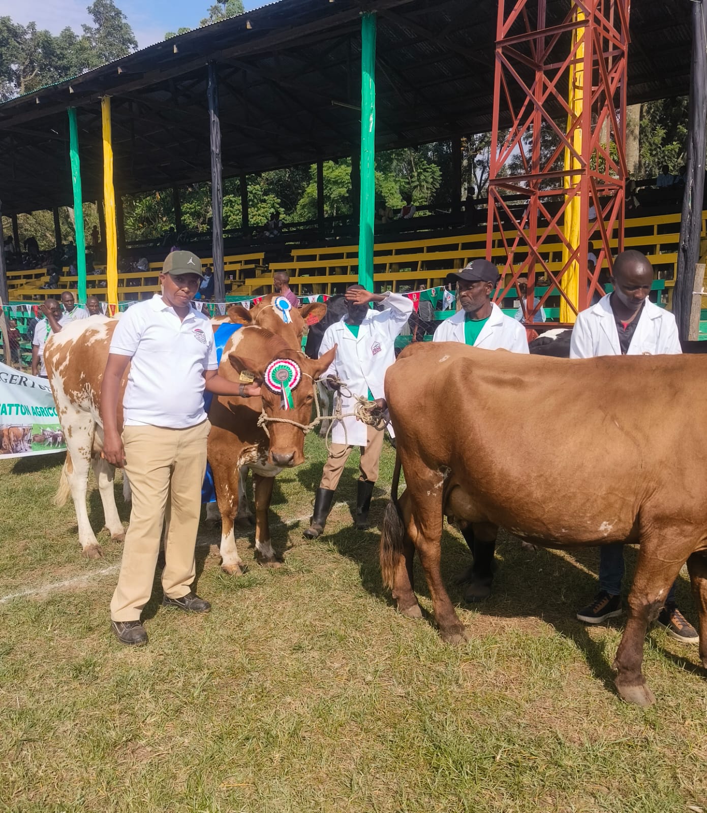 A multigenerational dairy legacy
